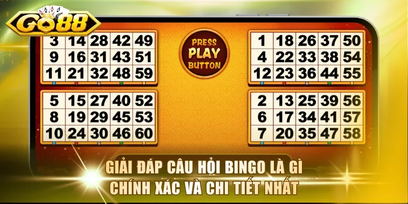Giải đáp câu hỏi bingo là gì chính xác và chi tiết nhất